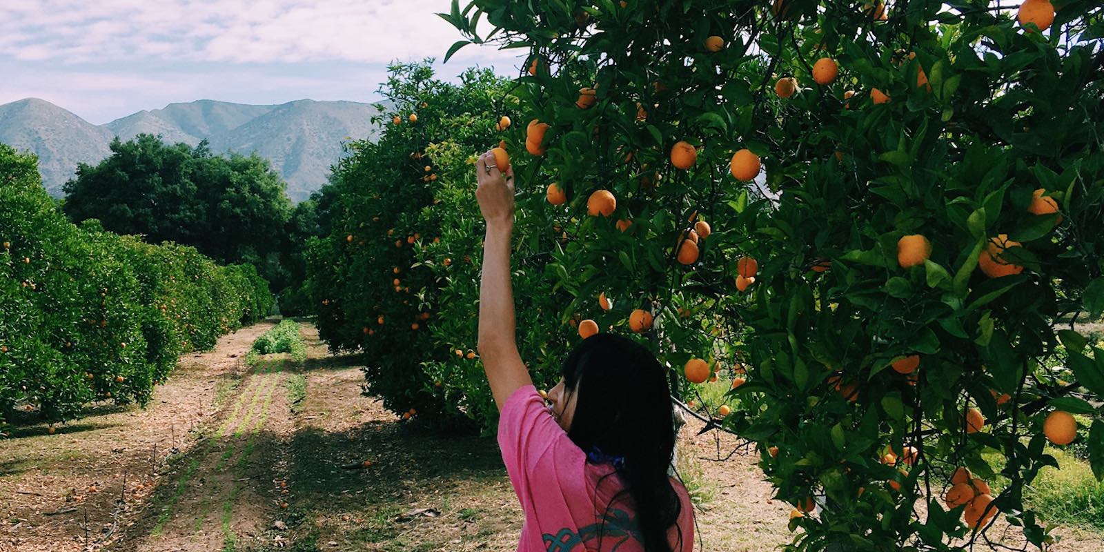 The Future of Food with Sandy Ho
