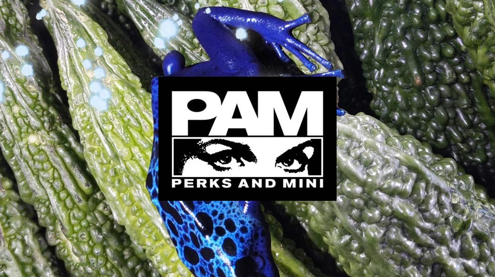 Perks And Mini