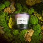 Photo of the Candle - Soaked sitting on a bed of moss. 