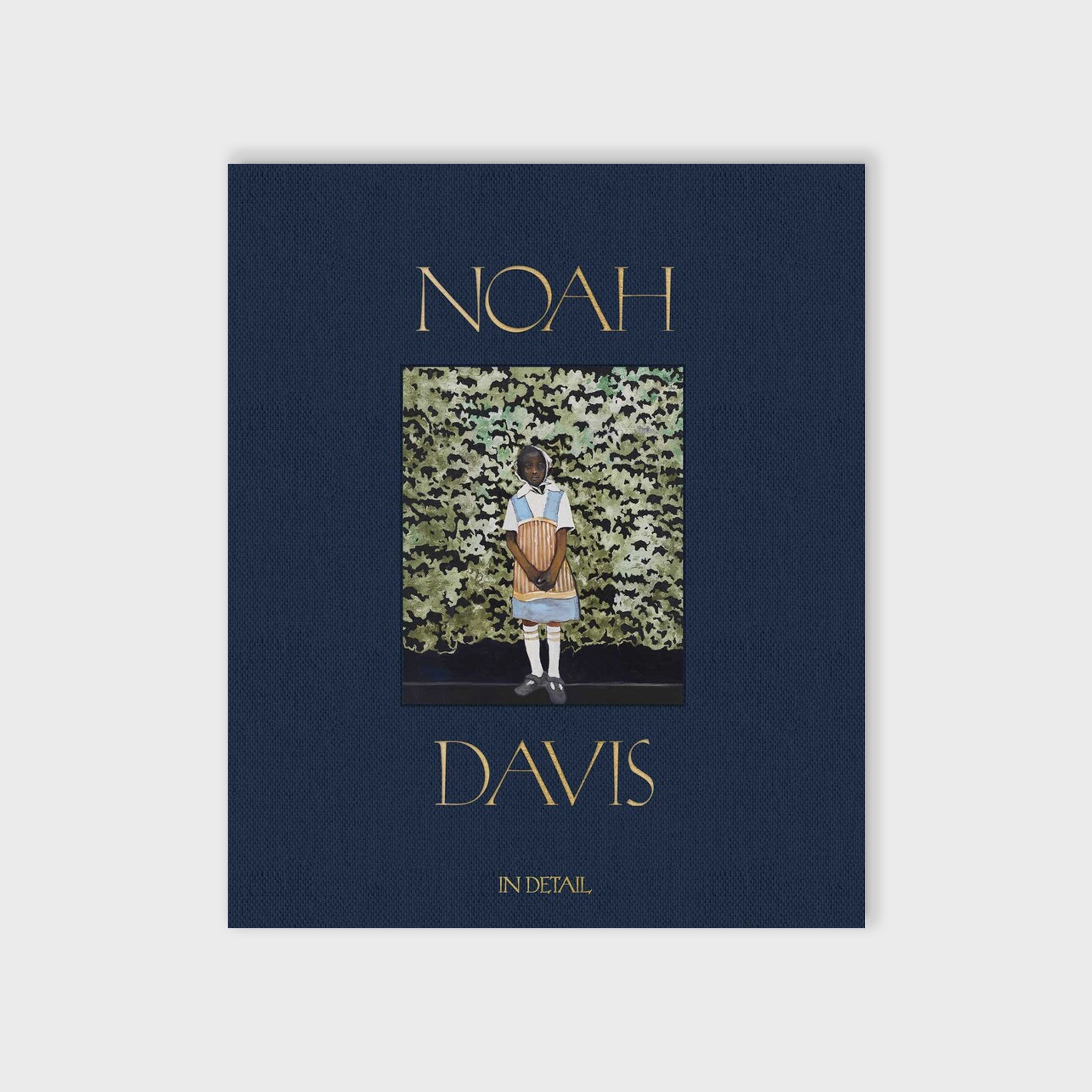 Navy blue cloth-bound cover for Noah Davis: In Detail featuring a painting by American artist Noah Davis.