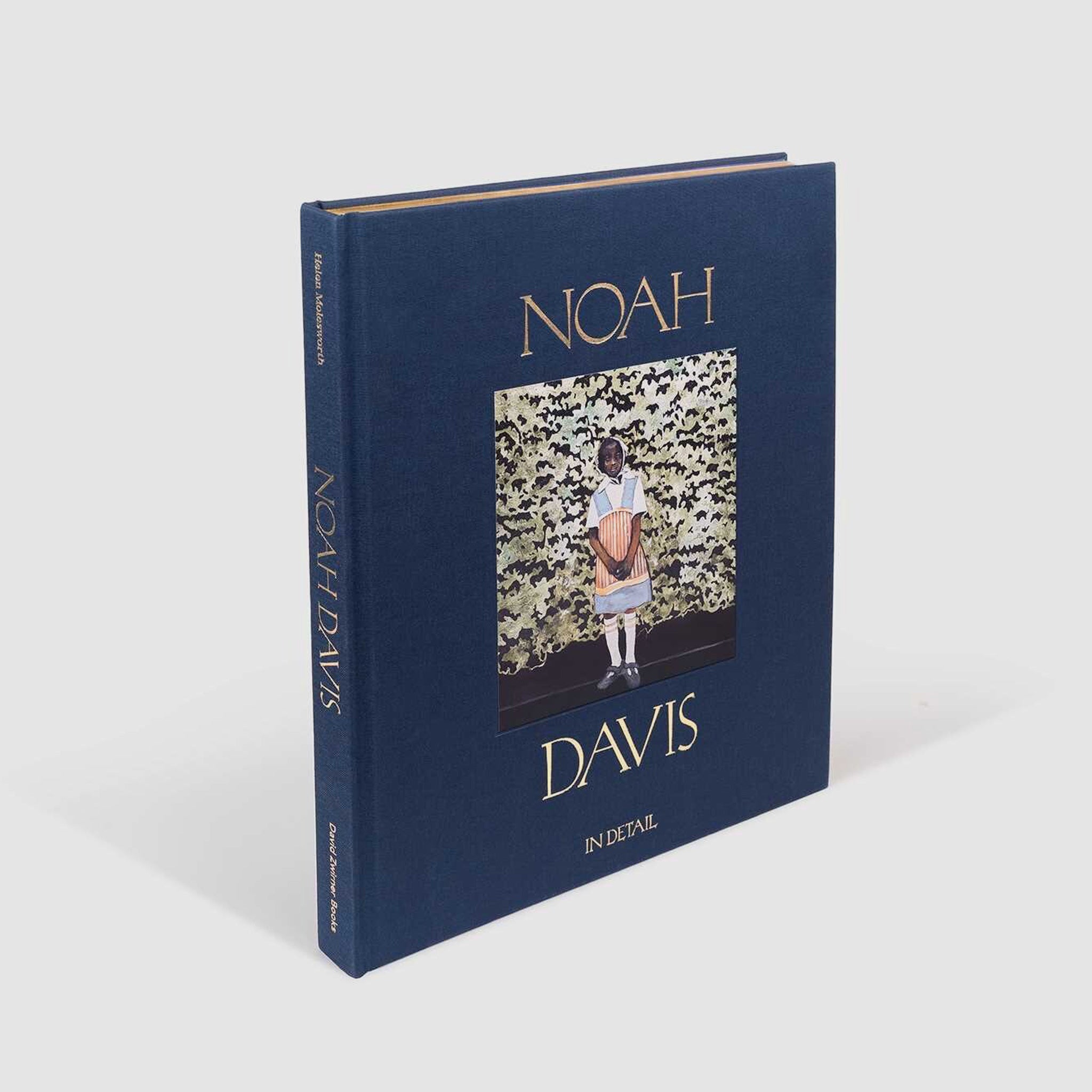 Noah Davis: In Detail - available at LCD