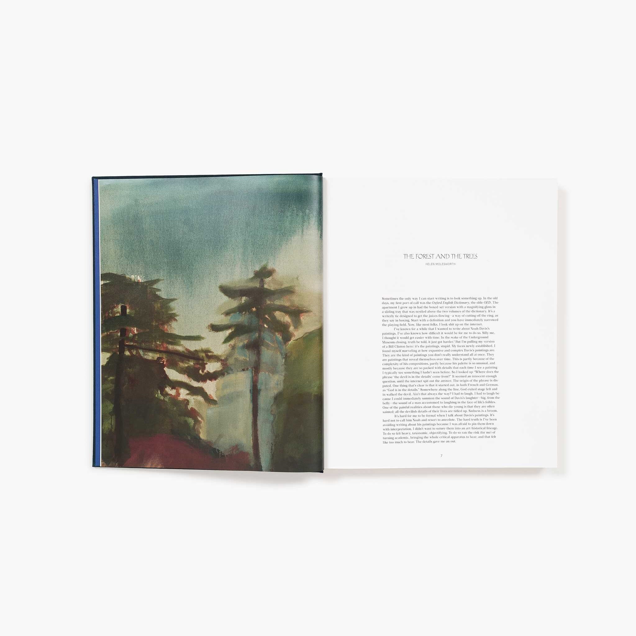 Interior page of Noah Davis: In Detail.