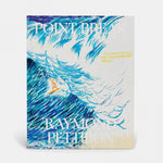 Raymond Pettibon - Point Break cover featuring a painting of a surfer riding immense blue waves.