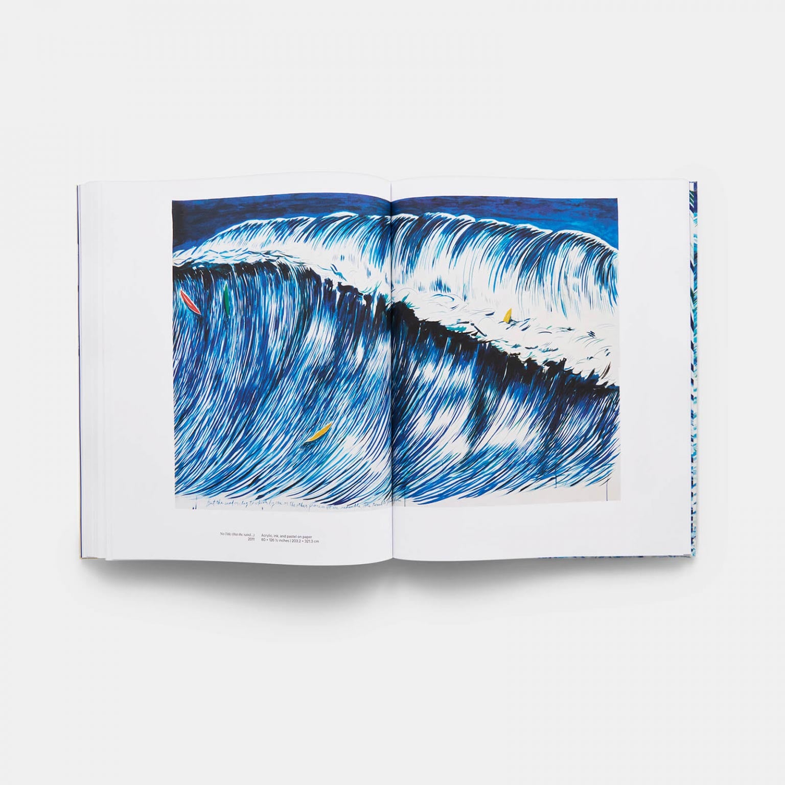 Flat photo of a page in the Point Break: Raymond Pettibon, Surfers and Waves book. 