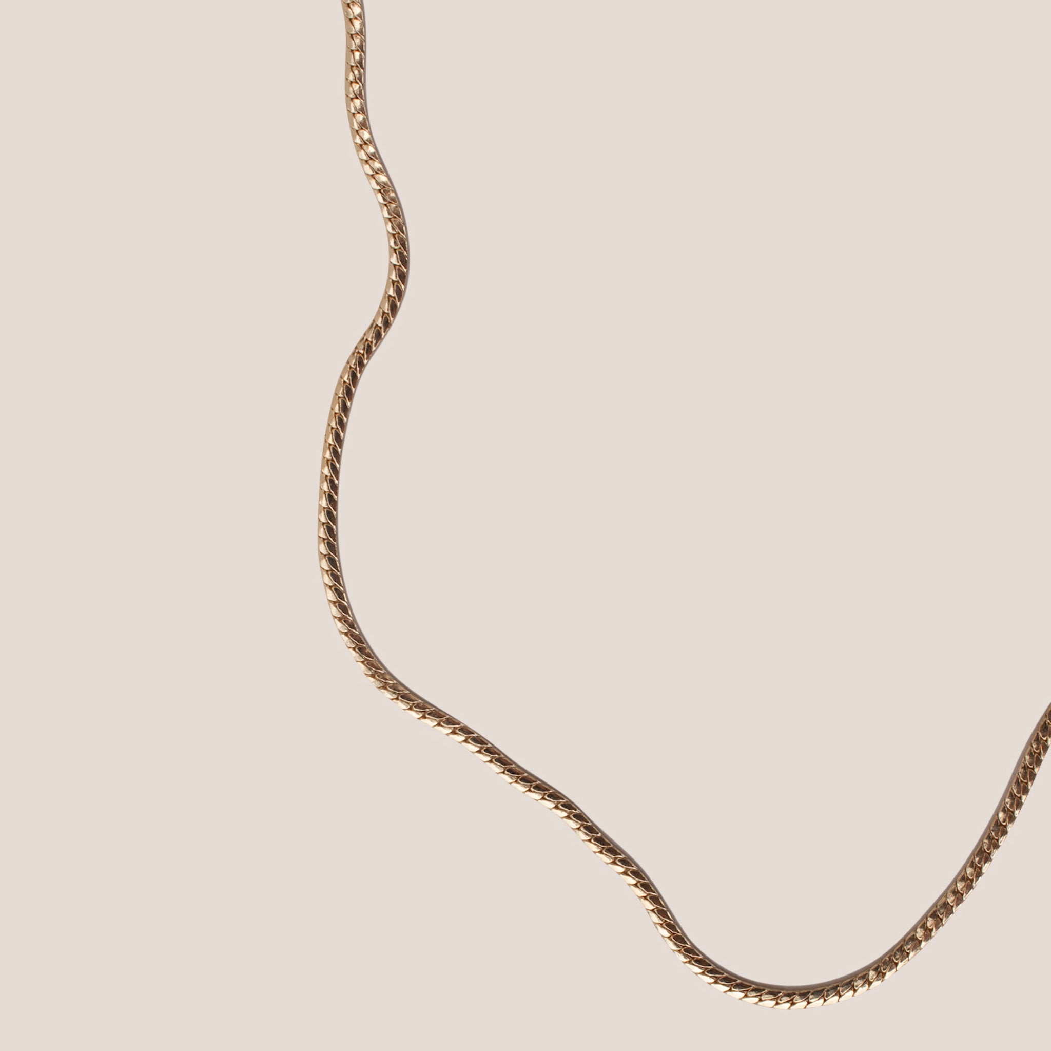 Laura Lombardi - Mini Omega Chain Necklace - detail view, available at LCD.