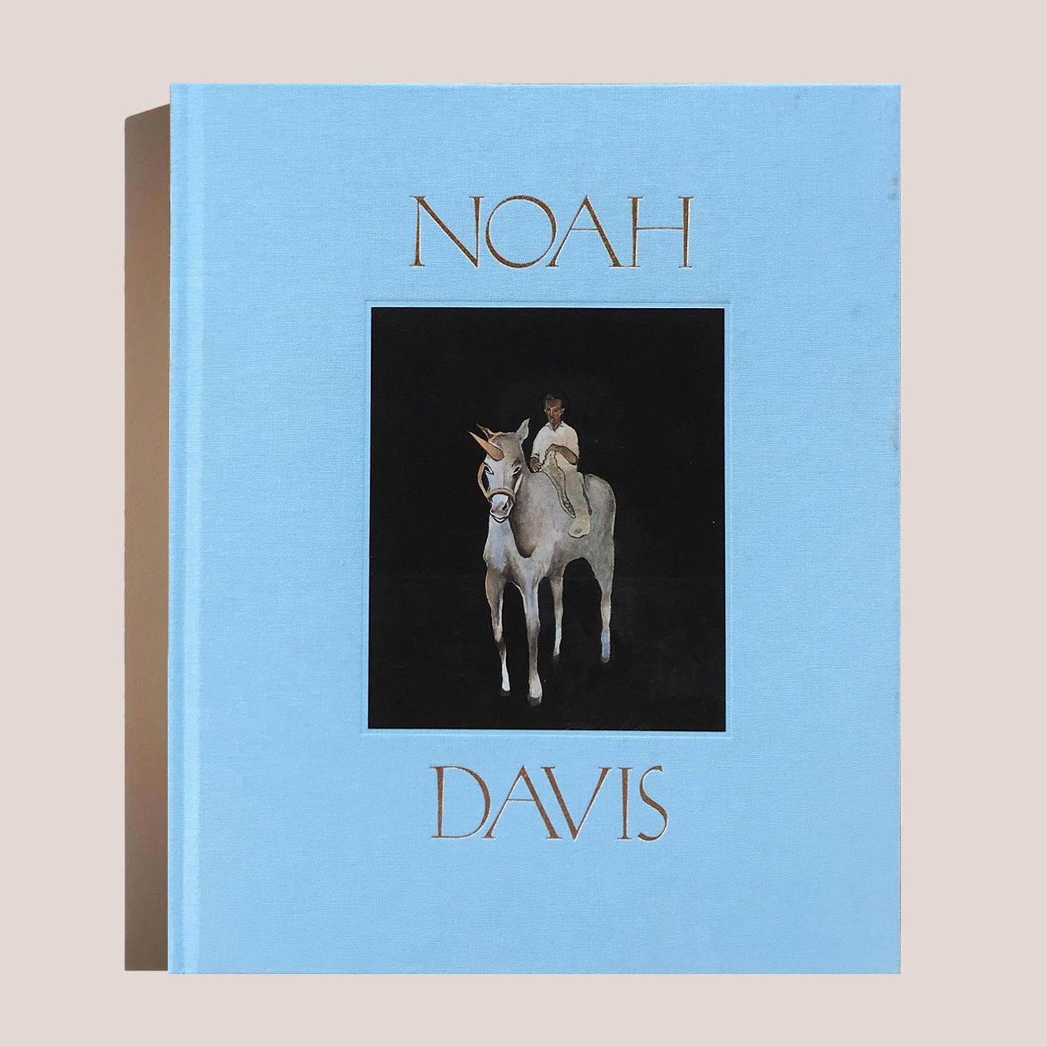 Noah Davis, book cover.