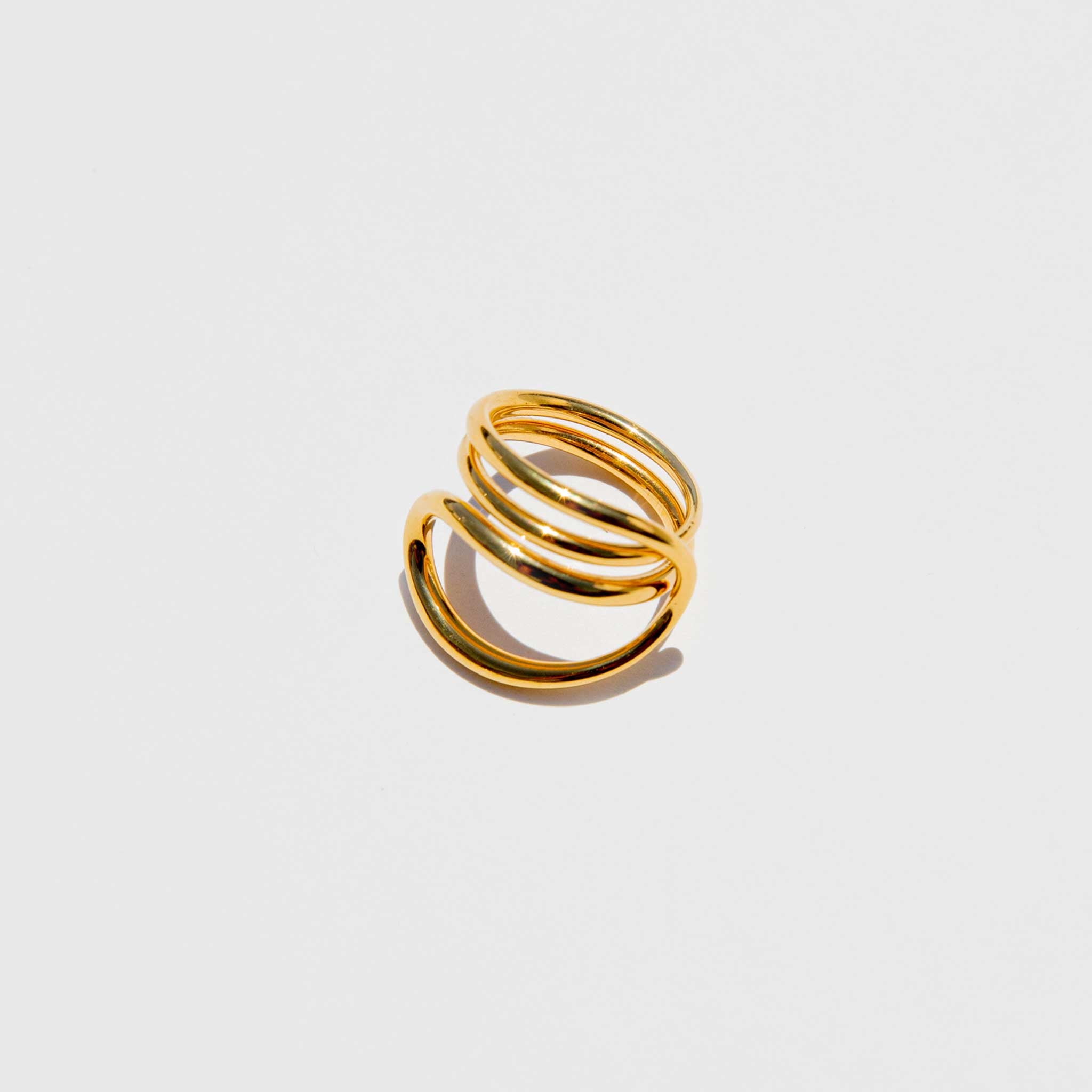 Close detail photo of the Petit Round Trip Ring.