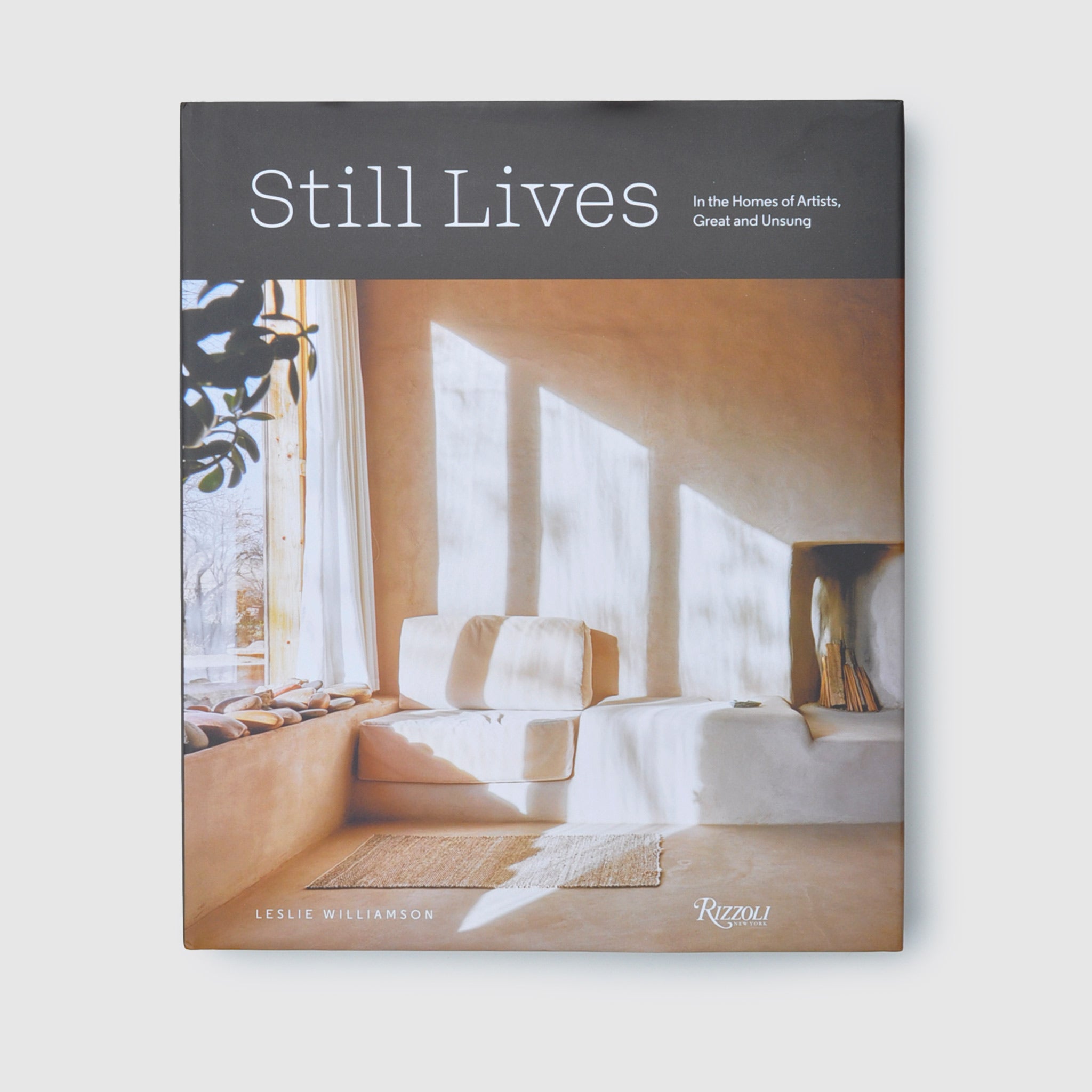 Photo displays the Still Lives by Leslie Williamson cover